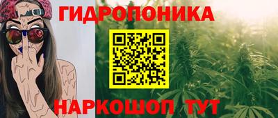 прущие грибы Бугуруслан