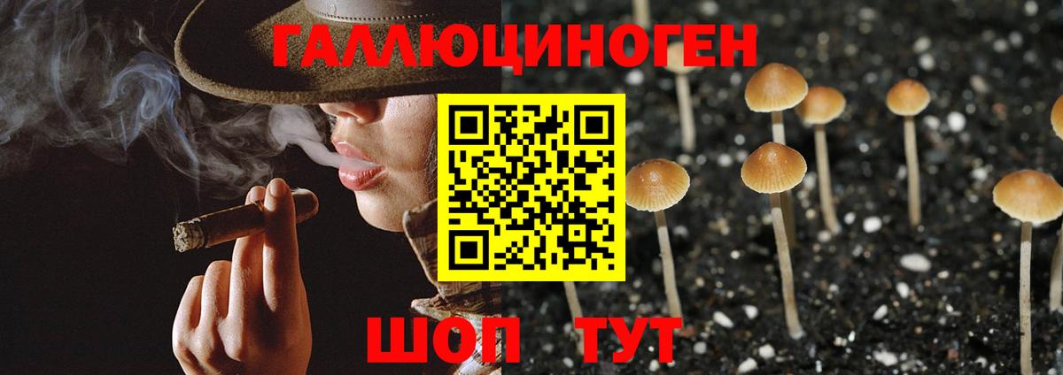 Псилоцибиновые грибы прущие грибы Миллерово